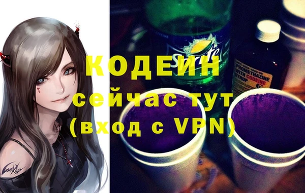 индика Армянск